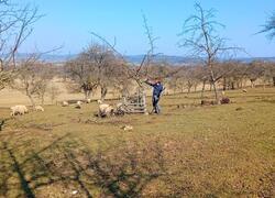 ČSOP Vlašim sad Jetřichovice