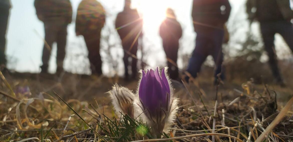 ČSOP Vlašim Pozemkový spolek