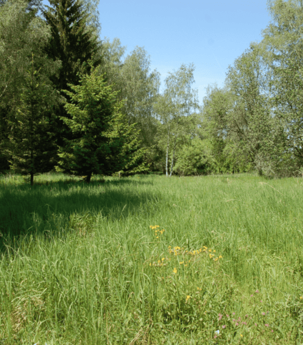 ČSOP Vlašim Křivsoudov