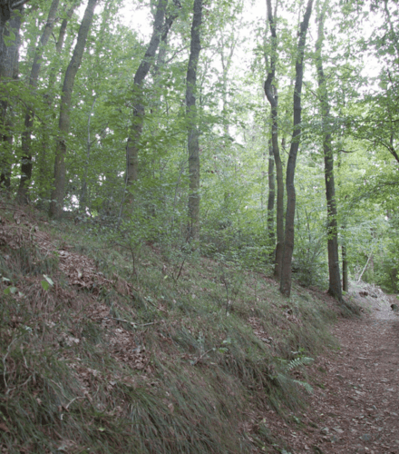 ČSOP Vlašim Vorlina