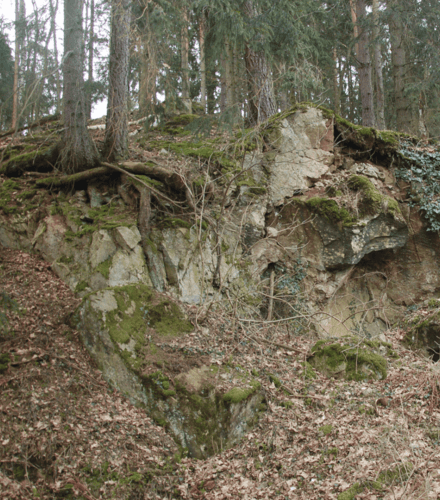 ČSOP Vlašim Kupsovka