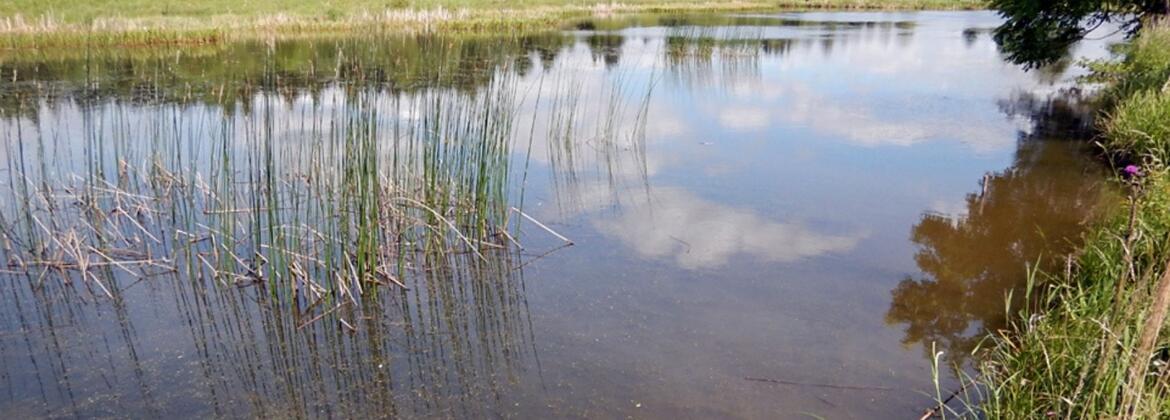 výukový program Co se skrývá na dně