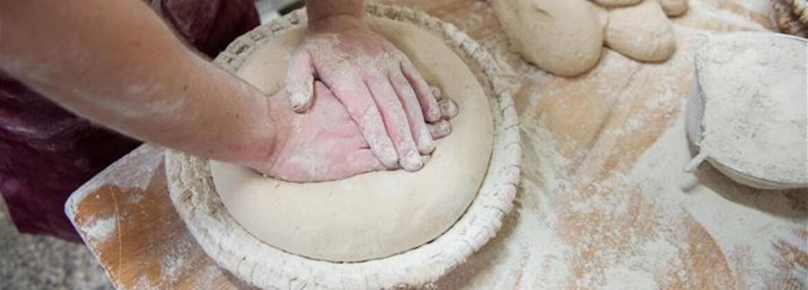 výukový program Od zrnka k bochníku