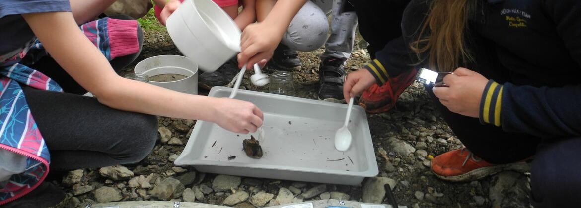 Hledání lesních pokladů