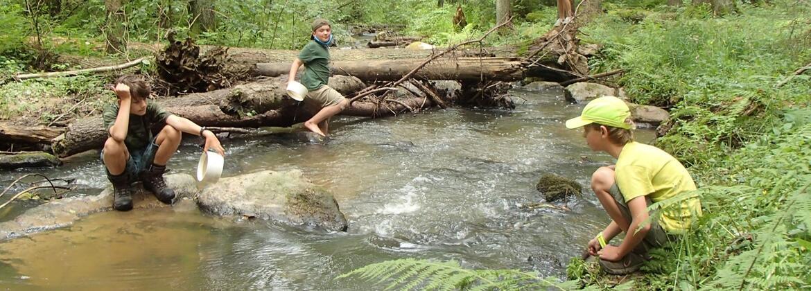 ČSOP Vlašim tábor