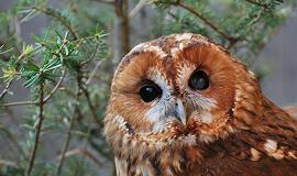 ČSOP Vlašim ParaZOO