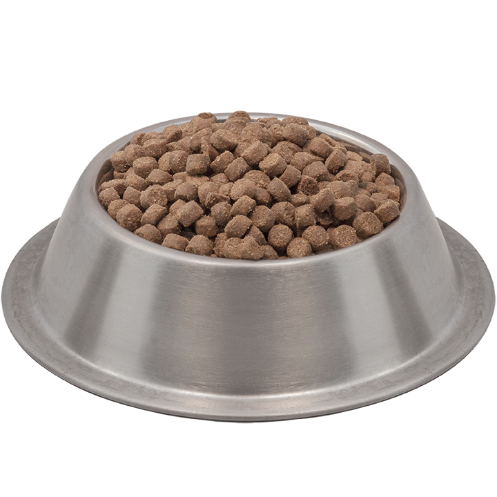 dog_food_PNG46