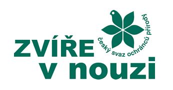 zvn_final